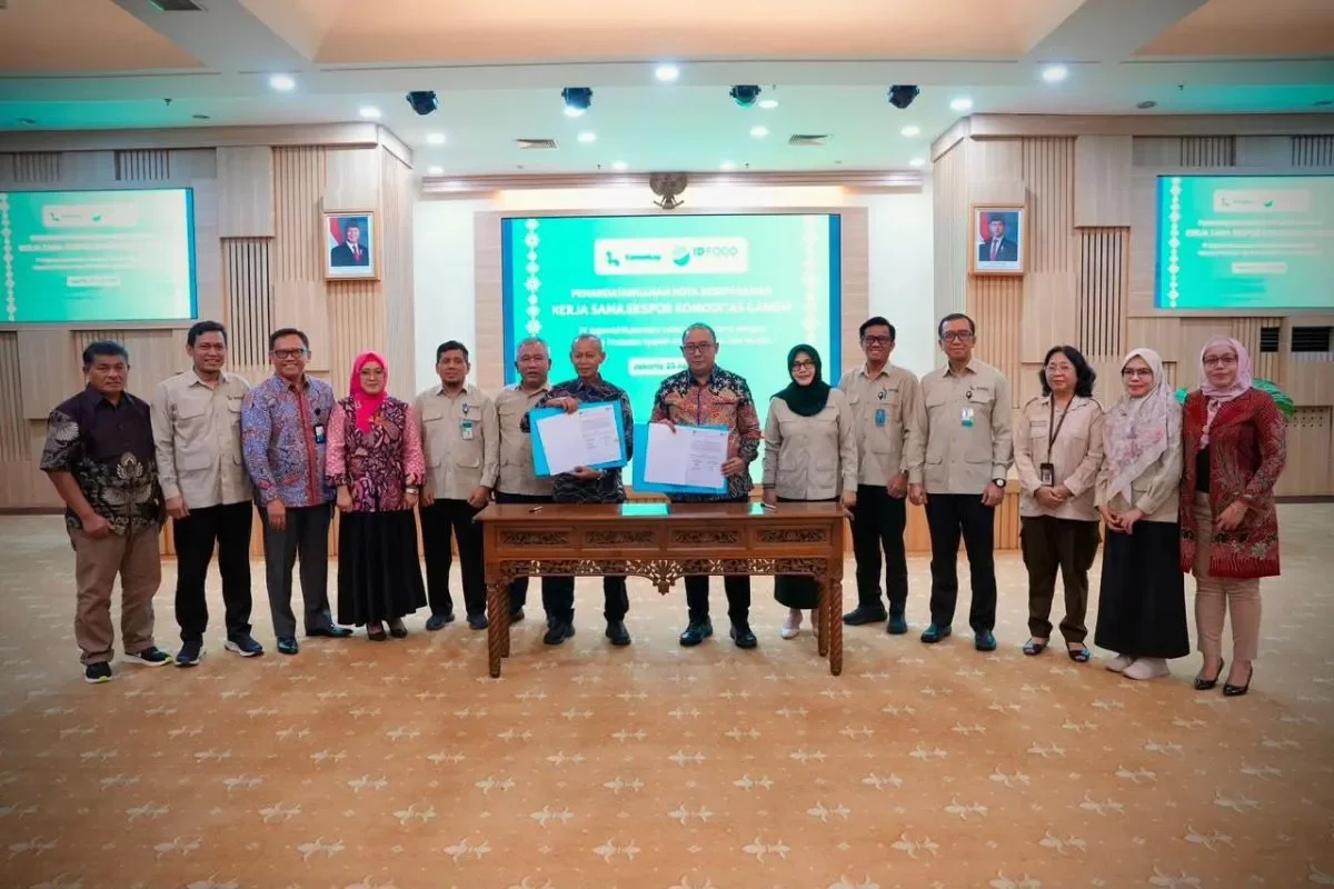 RNI Persero Teken MoU dengan Koperasi Syariah Asal Sumbar Jajaki Ekspor Gambir