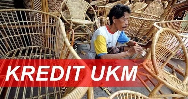 Tingkatkan Daya Saing UMKM Pangandaran, BPR BKPD Fasilitasi Pengelolaan Finansial dan Kemasan Gratis
